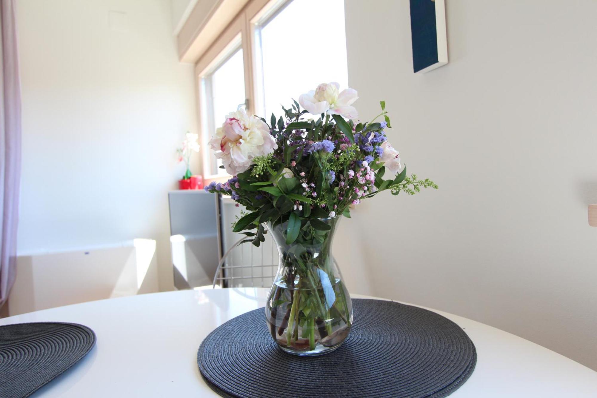 Apartments Makado Rovinj Chambre photo